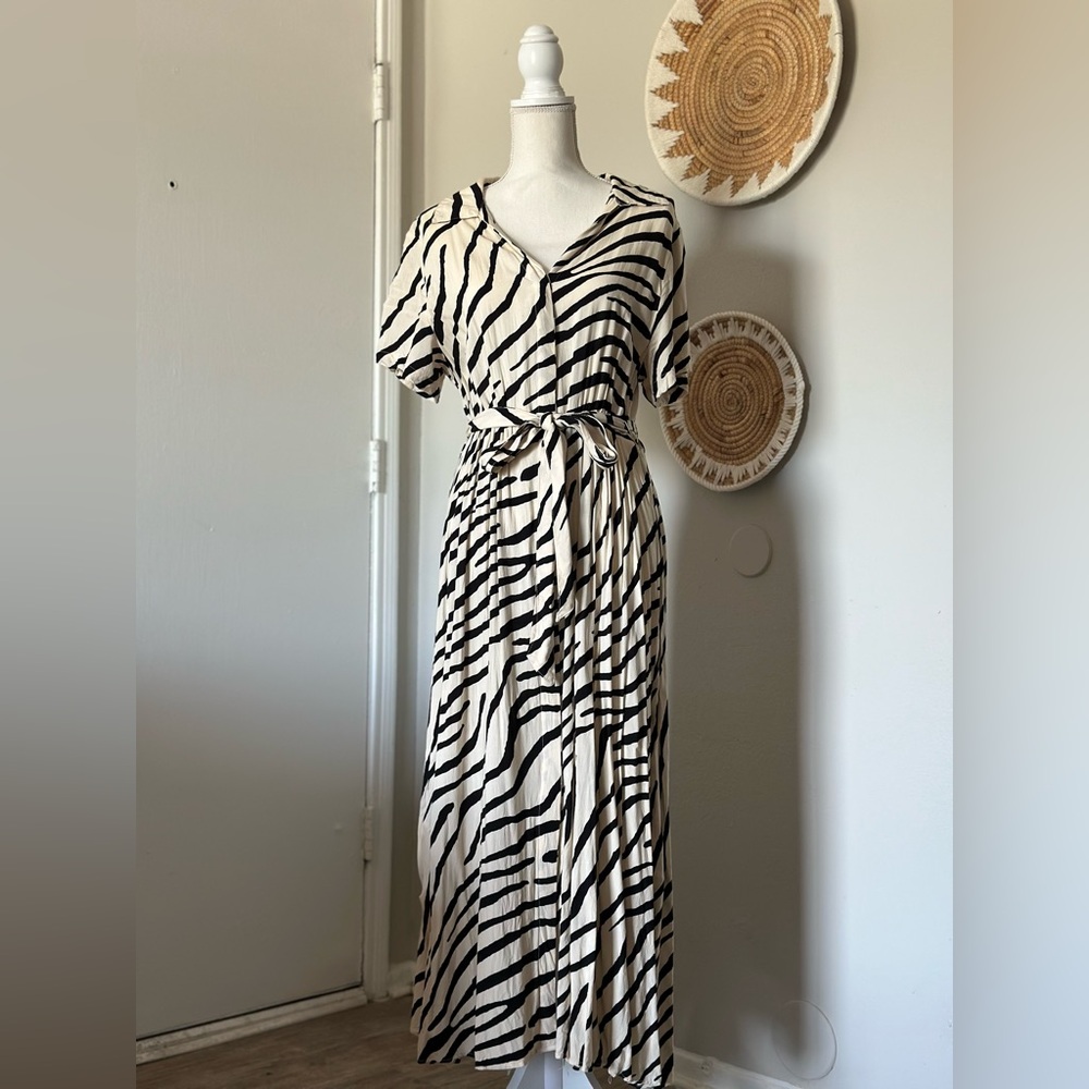 H&M Zebra Maxi Dress